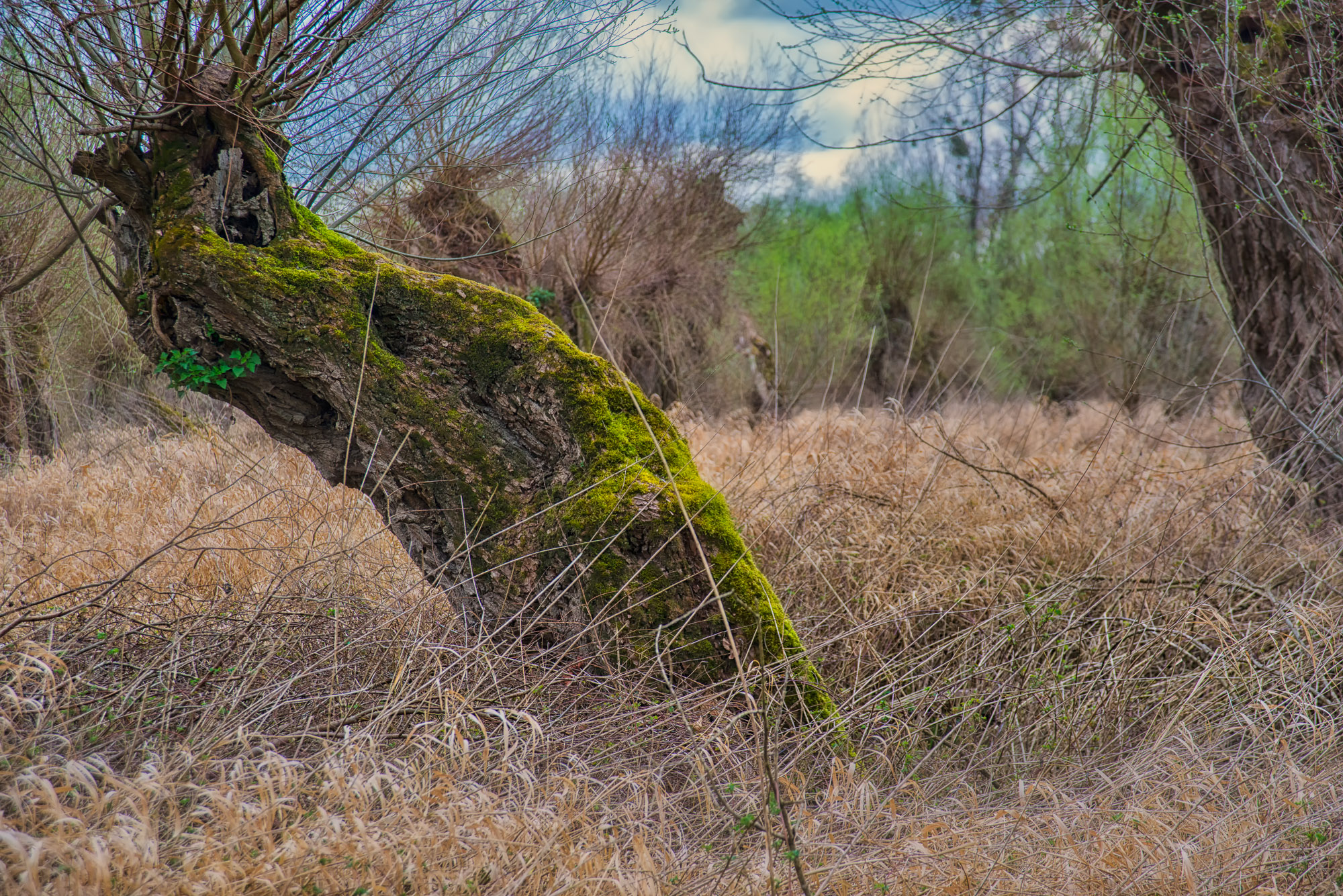 Travel & Reportage Image